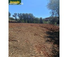 Se vende terreno rústico en Torreblanca