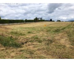 VENTA FINCA EN SAN ANDRES DE MONTEJOS