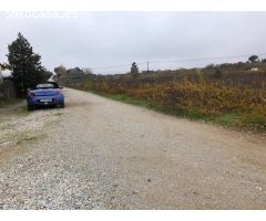 VENTA FINCA RUSTICA EN CACABELOS