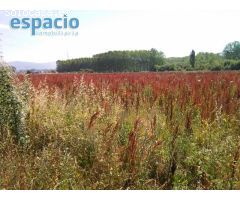 FINCA A LA VENTA EN BARCENA DEL BIERZO