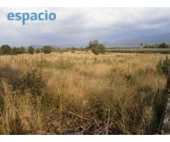 VENTA FINCA EN CARRACEDELO