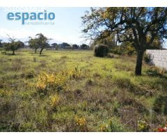 SE VENDE FINCA EN CACABELOS