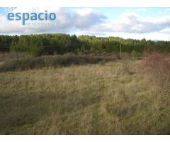 VENTA FINCA CUETO