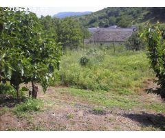 Terreno urbano en Venta en Rimor, León
