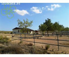 En venta finca rustica con edificaciones en paraje de Mosqueruela, Lorca.