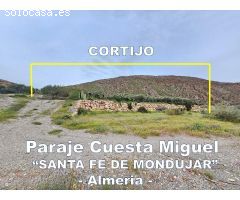 FABULOSO CORTIJO EN VENTA en SANTA FE DE MONDUJAR/ PARCELA 8.307m2 con VIVIENDA 82m2 / 3 DORMITORIOS
