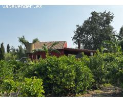 Se vende parcelica de recreo con casa en la huerta de Javali Viejo