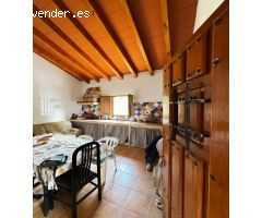 Se vende parcelica de recreo con casa en la huerta de Javali Viejo