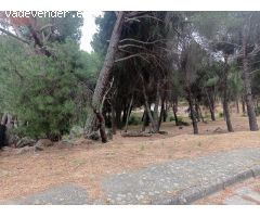 Parcela en zona tranquila de Costa de Madrid