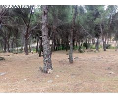 Parcela en zona tranquila de Costa de Madrid