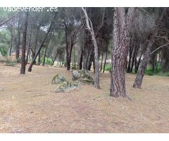 Parcela en zona tranquila de Costa de Madrid