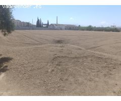OPORTUNIDAD INVERSORES Y PROMOTORES INMOBILIARIOS