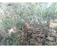 EN VENTA, CERCADO CON BOYERA EN ALAIOR