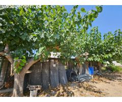 Finca de 6.000 M2, plana y vallada con casa unifamiliar y otros anexos de 262 M2