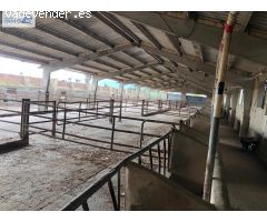 VENTA GRANJA SUECA