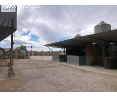 VENTA GRANJA SUECA