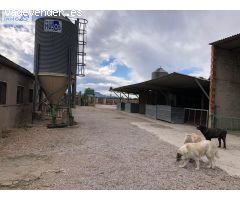 VENTA GRANJA SUECA