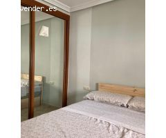 APARTAMENTO JUNTO A PUERTA PALMAS