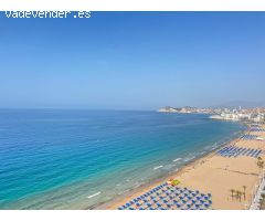 Vive el encanto de Benidorm desde la primera línea de la playa Levante