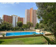 Vive el encanto de Benidorm desde tu nuevo apartamento en la Playa de Poniente