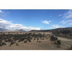Terreno urbanizable en venta en sector Urs-r4, Polígono 6, Los Juncos  Ulea.