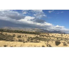 Terreno urbanizable en venta en sector Urs-r4, Polígono 6, Los Juncos  Ulea.