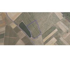 Terreno con Almacén  en venta en paraje de las Moratillas , Polígono 100 Los Pulpillos Yecla