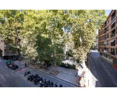 Magnífico piso recién reformado en pleno centro de Granada.