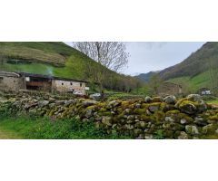 CABAÑA ADOSADA EN VEGA DE PAS.-