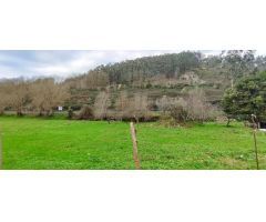 FINCA URBANA  DE 2.198 METROS CUADRADOS EN RIOCORVO.-