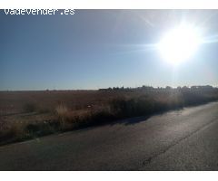 Avileses proyecto