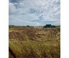 ctra aeropuerto, terreno de 1000m²