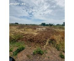 ctra aeropuerto, terreno de 1000m²