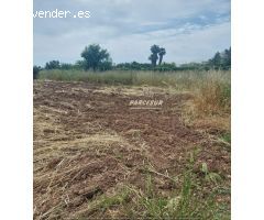 ctra aeropuerto, terreno de 1000m²