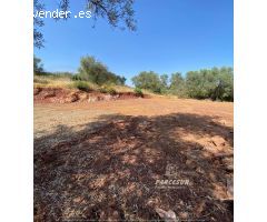 Parcela en Venta en Villaviciosa de Córdoba, Córdoba