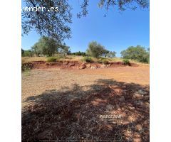 Parcela en Venta en Villaviciosa de Córdoba, Córdoba