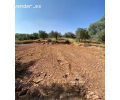 Parcela en Venta en Villaviciosa de Córdoba, Córdoba