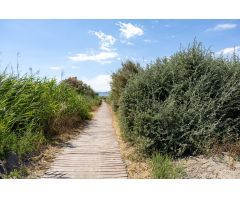 Finca de recreo con invernadero junto a la playa