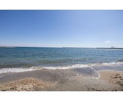 Finca de recreo con invernadero junto a la playa