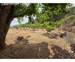 Terreno rural en Venta en Xeresa, Valencia