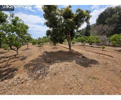 Terreno rural en Venta en Xeresa, Valencia