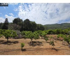 Terreno rural en Venta en Xeresa, Valencia