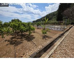 Terreno rural en Venta en Xeresa, Valencia