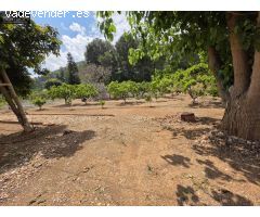 Terreno rural en Venta en Xeresa, Valencia