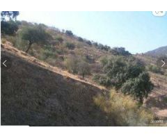 Finca rustica en Alora