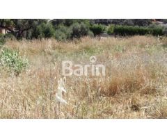 Parcela en Alcolea