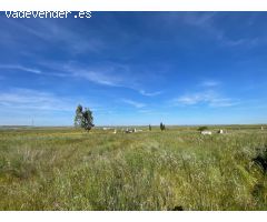 TERRENO RUSTICO DE 2500M EN SIERRA DE FUENTES