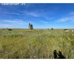 TERRENO RUSTICO DE 2500M EN SIERRA DE FUENTES