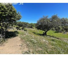 Terreno rural en Venta en Garrovillas de Alconetar, Cáceres