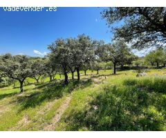 Terreno rural en Venta en Garrovillas de Alconetar, Cáceres